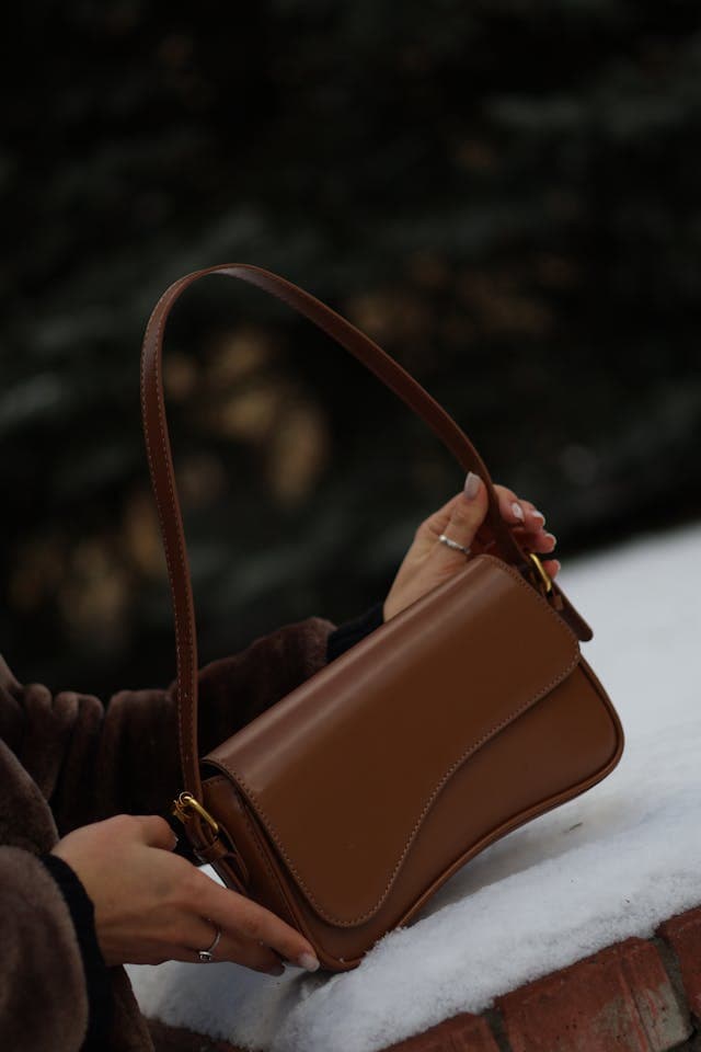 Luxury Handbag image